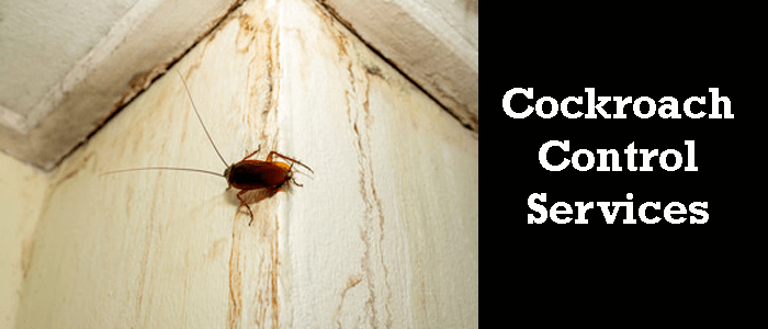 Cockroach Control Turner